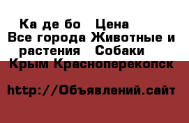 Ка де бо › Цена ­ 25 - Все города Животные и растения » Собаки   . Крым,Красноперекопск